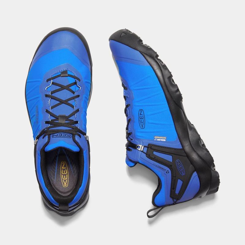 Zapatos Trekking Keen Venture Waterproof Para Hombre Azules - Zapatos Keen Mexico (273408-KDX)